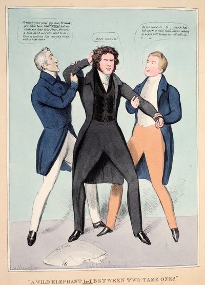 "A wild elephant Led between Two tame ones", pub.1830年（手彩色のエングレービング 作： John  Doyle