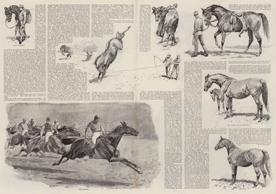 競走馬のキャリア（彫刻 作： John (after) Charlton