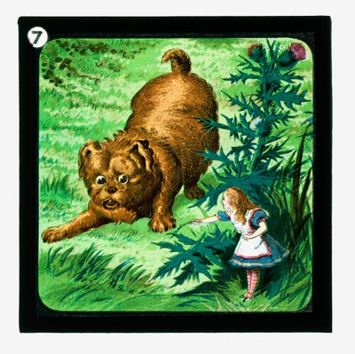 不思議の国のアリス」カラーランタンスライド（ランタンスライド 作： John (after) Tenniel