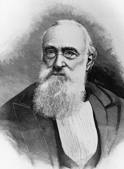 イタリアの政治家であり、イタリア王国の首相であったアゴスティーノ・デプレティス（1813-1887）の肖像、ミケーレ・シェンボッヘ（活動1856-1906年頃）の写真をもとにしたエングレーヴィング。 作： Walter Charles Mills
