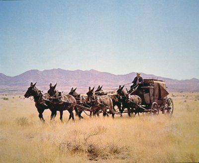 6頭のラバが牽引する西部の駅馬車（写真 作： Walter Charles Mills