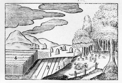 地球の果実、1658 作： John Amos Comenius