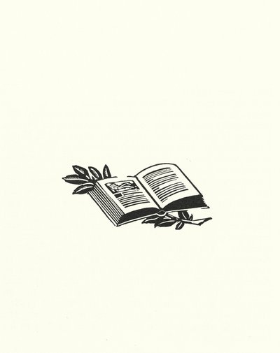 ギュスターヴ・フローベールによるマダム・ボヴァリーのイラスト (litho) 作： John Austen