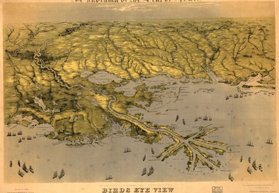 ルイジアナ、ミシシッピ、アラバマとフロリダの一部の鳥瞰図 LOC 99447004 作： ジョン・バックマン