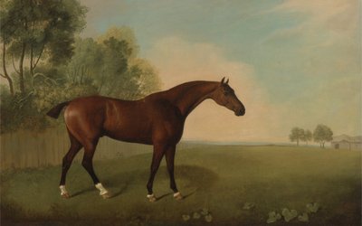 フィールドのベイホース、1778 作： John Boultbee