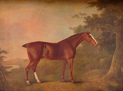 「暗い栗」、1788 作： John Boultbee