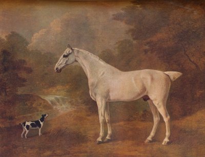 ノミ噛まれた灰色と斑点テリア、1803。 作： John Boultbee
