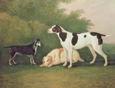 風景の中の3匹の犬 作： John Boultbee