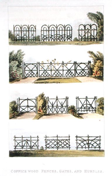 1823年に出版されたアッカーマンの「芸術のリポジトリ」に掲載されているコヤシの木のフェンス、ゲート、ハードル（カラーリトグラフ） 作： John Buonarotti Papworth