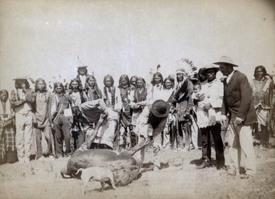 牛肉の皮剥ぎ、1891年 作： John C. H. Grabill