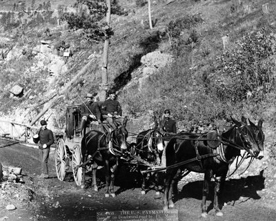 フォートウッドへのデッドウッドの道の米国の給与管理人と警備員。ミード、1888 作： John C. H. Grabill