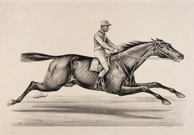 ノーフォーク皇帝 作： John Cameron