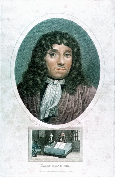 アントンファンレーウェンフック1632-1723、オランダの顕微鏡専門家、c1810 作： John Chapman