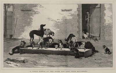 失われた犬のための家での食卓、バタシー 作： John Charles Dollman
