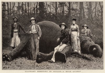 巨大採石場セイロンでの象射撃 作： John Charles Dollman