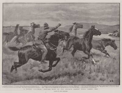 Plucky Colonial、火の下で敵の馬の一部を運転 作： John Charlton