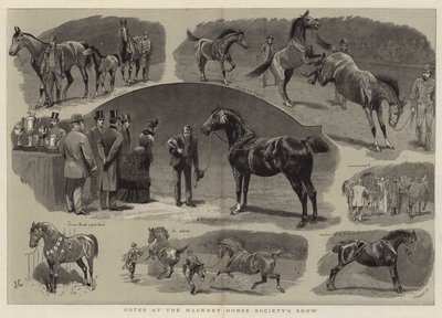 ハックニー馬協会のショーでのメモ 作： John Charlton