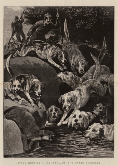 カンバーランドでのカワウソの狩猟、カワウソの追い詰め 作： John Charlton