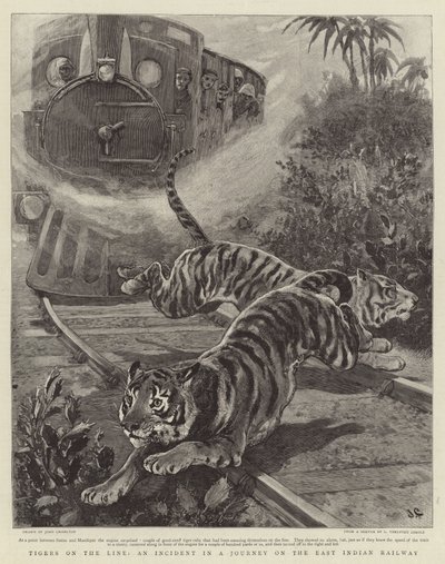 タイガース・オン・ザ・ライン、東インド鉄道の旅における事件 作： John Charlton