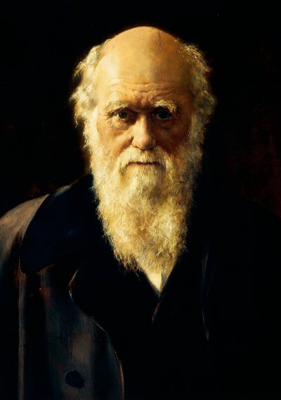 チャールズ・ダーウィンの肖像 作： John Collier