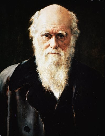 イギリスの博物学者チャールズ・ダーウィンの肖像（細部）（油彩・キャンバス 作： John Collier