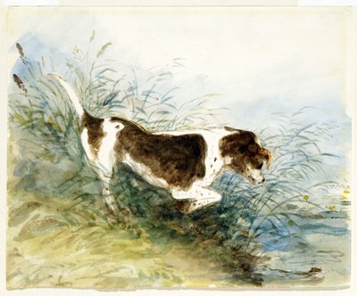 水中でネズミを見ている犬-1831年に描かれたデダム 作： John Constable