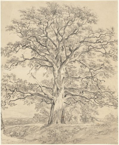 偉大な樫の木 作： John Constable