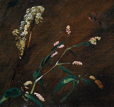 花の研究。パーシカリアとメドースイート（油彩、キャンバス、パネル） 作： John Constable