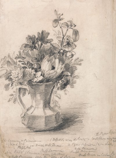 Flores em um jarro 作： John Constable