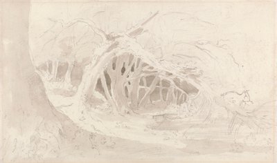 ヘルミンガム: サイレント プール 作： John Constable