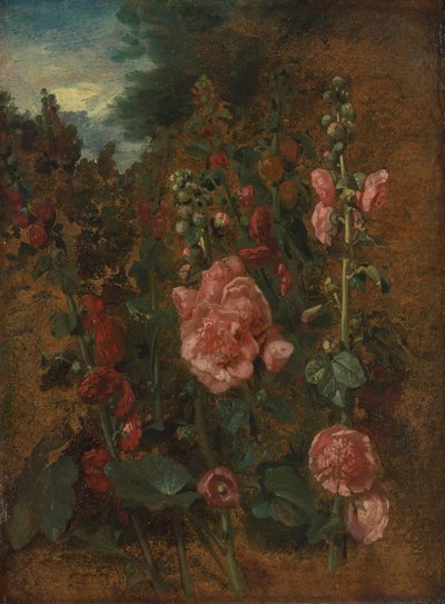 タチアオイの研究 作： John Constable