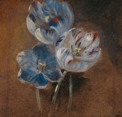 3 つのオウム チューリップの研究 作： John Constable