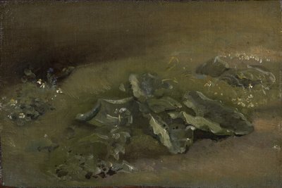 ごぼうの研究、1810-14年頃または1828年頃 作： John Constable
