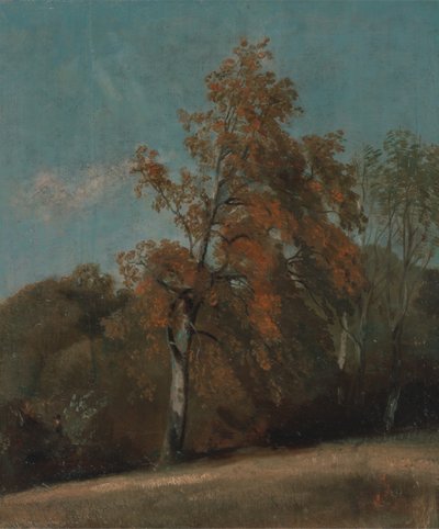 トネリコの木の習作、1801年から1803年の間、または1810年から1830年の間に描かれています。 作： John Constable