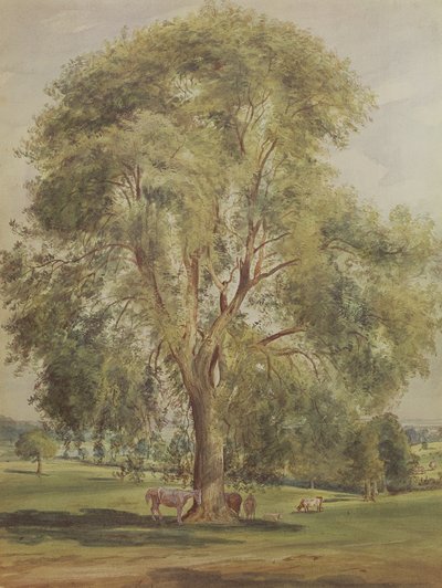 ツリー（トイレ） 作： John Constable
