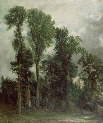 ハムステッドの木 作： John Constable