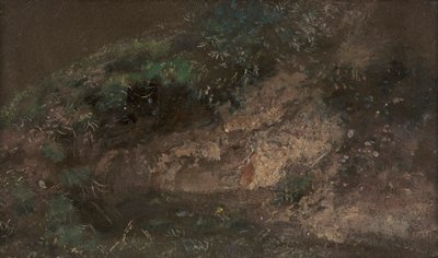 Vegetação rasteira 作： John Constable