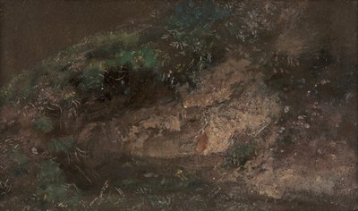 1821年頃の下草。 作： John Constable