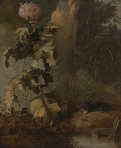 エジプトのケシと水モグラ 作： John Crome
