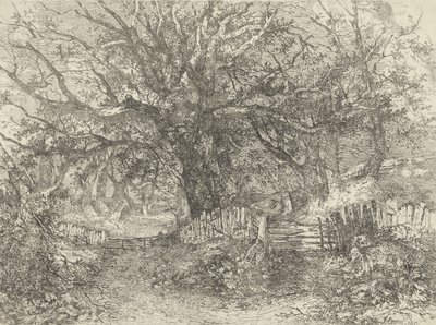 ロードシーン、トロースホール、1813年 作： John Crome