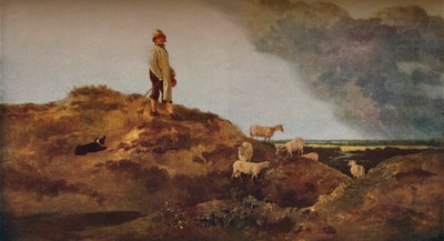 Mousehold Heath、Norwich付近、c1812で表示します。 作： John Crome