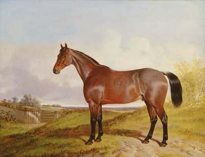 風景の中のベイハンターの研究、1854 作： John Dalby