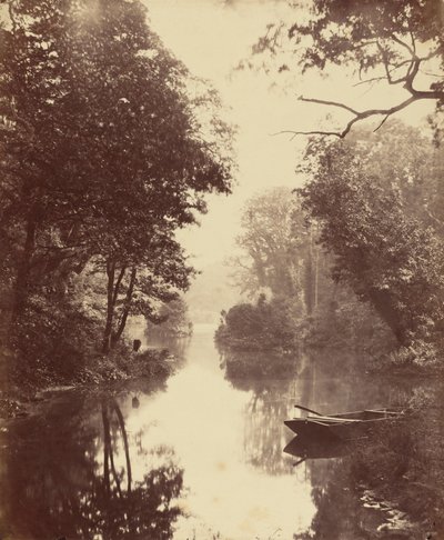夏の夜、ペレルガレ 作： John Dillwyn Llewelyn