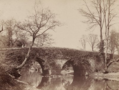 カントリーブリッジスタプリルトンブリッジ、ブリストル、c。 1854-1857。 作： John Dillwyn Llewelyn
