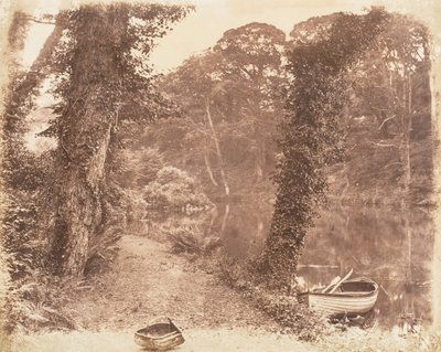 アッパーレイク、1853-56。 作： John Dillwyn Llewelyn