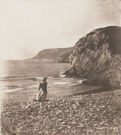 1853-56年の「風と波」。 作： John Dillwyn Llewelyn