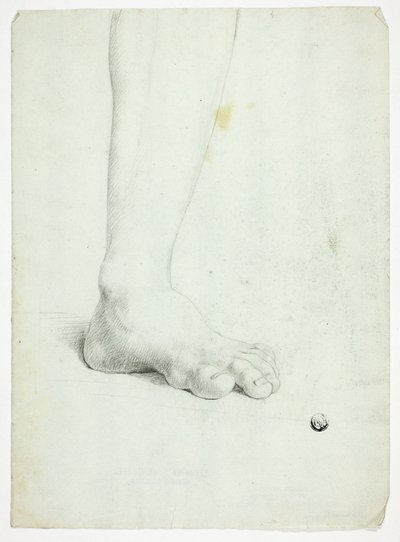 立ち姿の左足 作： John Downman