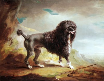 A Clipped Water Spaniel（油彩・キャンバス 作： John E. Ferneley