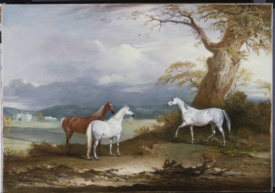 マクドナルド卿の雌馬、ソープホールの敷地内、ラッドストン、ヨークシャー、1836 作： John E. Ferneley
