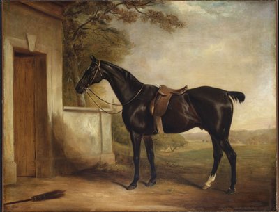 チェシャム卿のハンター、バックルの肖像画、1836年 作： John E. Ferneley
